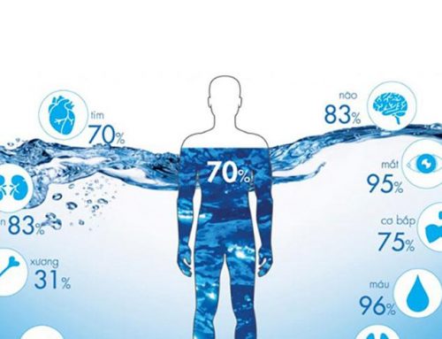 Water and the human body